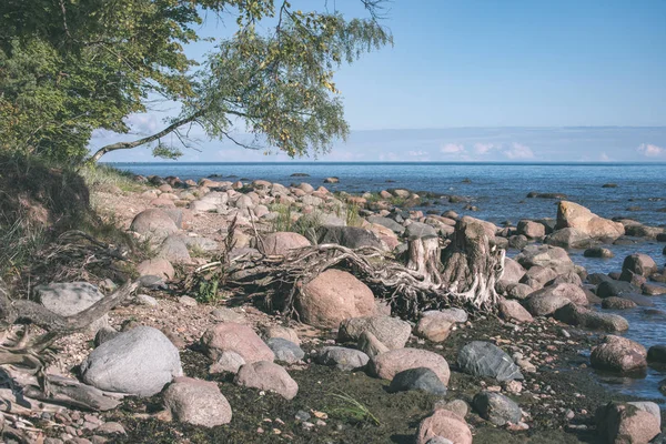 Грубые Скалы Морском Пляже Солнечный День — стоковое фото