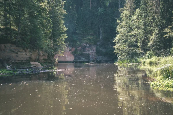 Sandstone Cliffs Shores River Amata Green Woods Latvia — Stock Photo, Image