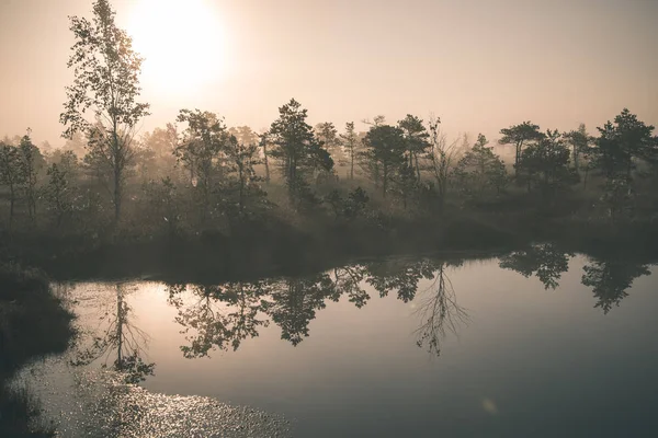Восход Солнца Туманом Болоте Отражениями Деревьев Воде — стоковое фото