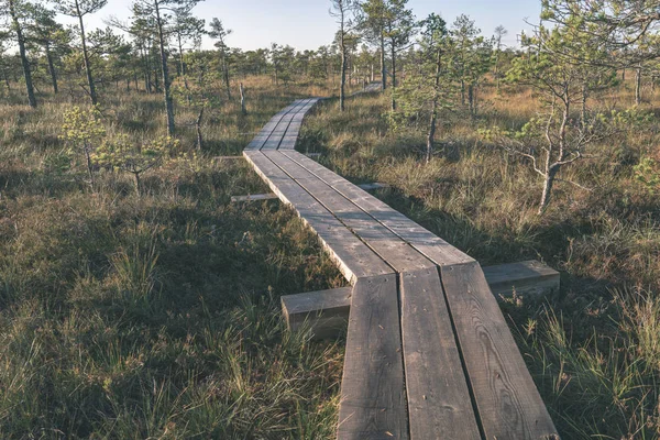 Houten Plank Promenade Moerasgebied Het Najaar Perspectief — Stockfoto