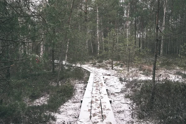 Passerella Pedonale Legno Coperta Con Prima Neve Nella Zona Paludosa — Foto Stock