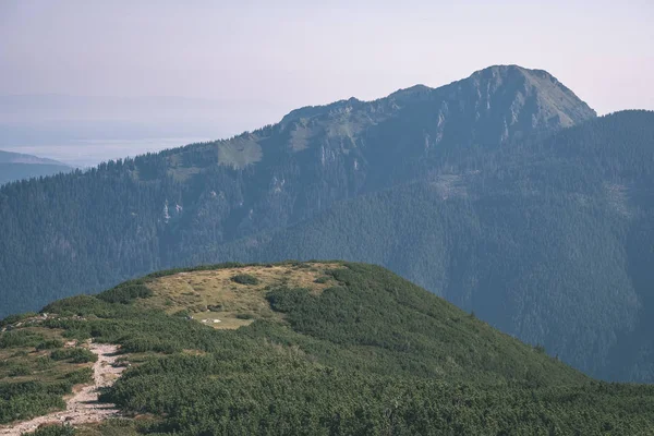 슬로바키아에서 여름에 Tatra — 스톡 사진