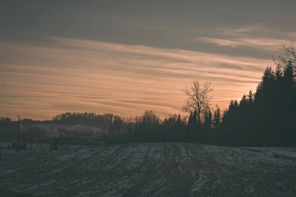 フィールド田園風景の景観はラトビアの夕暮れ時の雪と木で覆われて — ストック写真
