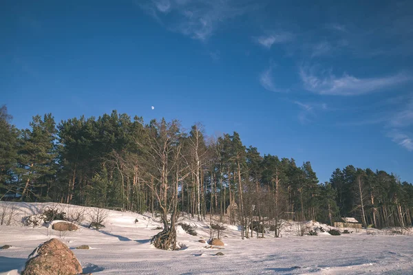 Paisagem Rural Com Campos Árvores Cobertas Neve Letónia — Fotografia de Stock