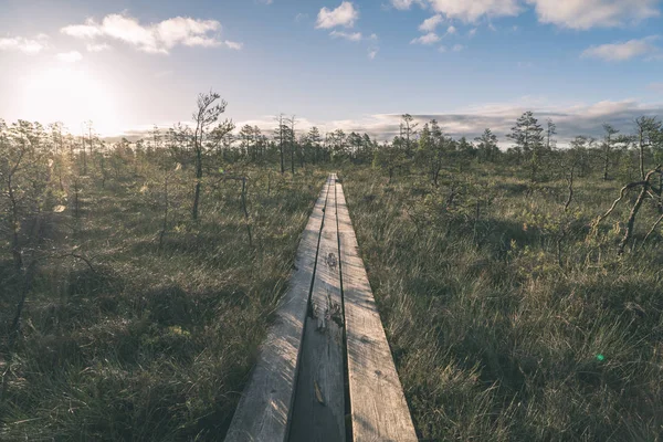 日光の沼地エリアに木の板の歩道遊歩道 — ストック写真