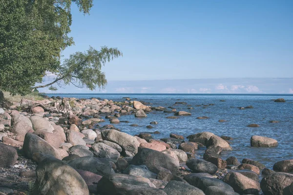 晴れた日の海ビーチに荒い石 — ストック写真