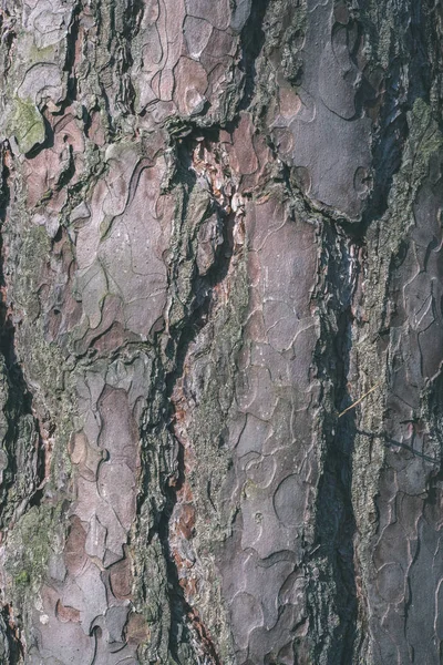 灰色老树皮的背景 — 图库照片