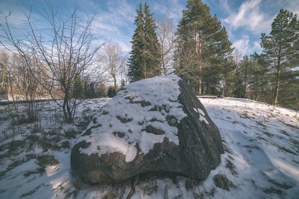 rough rock on snow ground in park