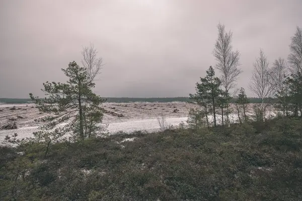 Gröna Landskapet Snö Täckt Fält Vintern Mörka Molnig Himmel — Stockfoto