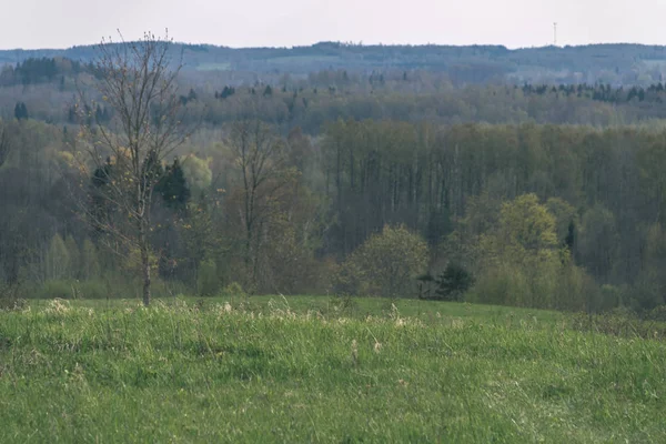 Zwykły Prosty Countryside Krajobraz Wiosną Świeżych Zielonych Łąk Lasów — Zdjęcie stockowe