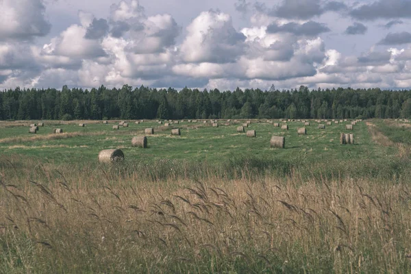 Rouleaux Foin Dans Champ Sous Ciel Bleu Paysages Ruraux Lettonie — Photo