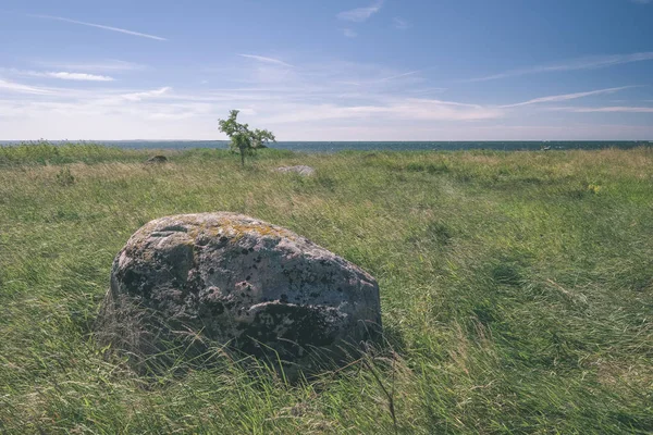 Large Granite Rock Nature Environment — Stock Photo, Image