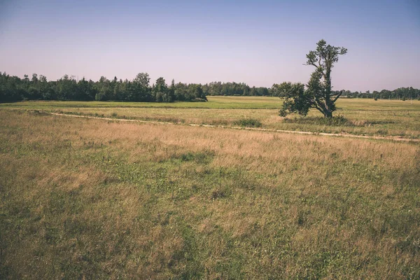 Landschaft Aus Feldern Und Wäldern Unter Blauem Himmel Sommer — Stockfoto