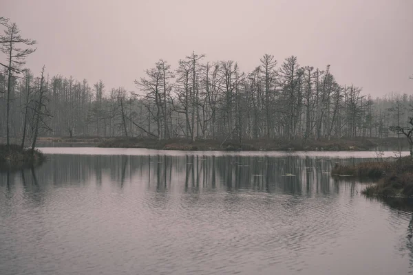 Calm Lake Forest Shores Forecast — Stock Photo, Image