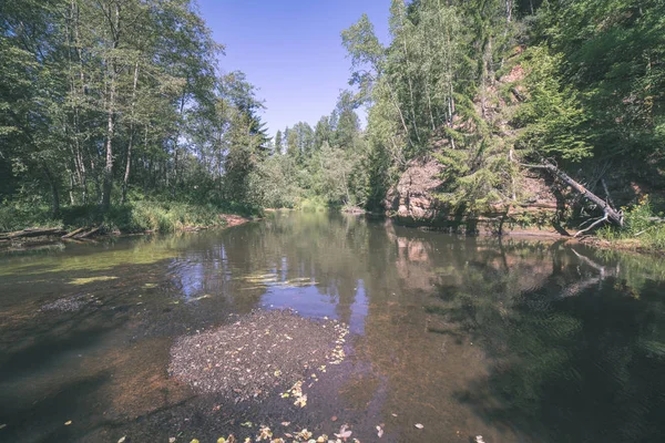 Water Kalme Rivier Ingesloten Bossen Met Zandstenen Rotsen Zomerdag — Stockfoto