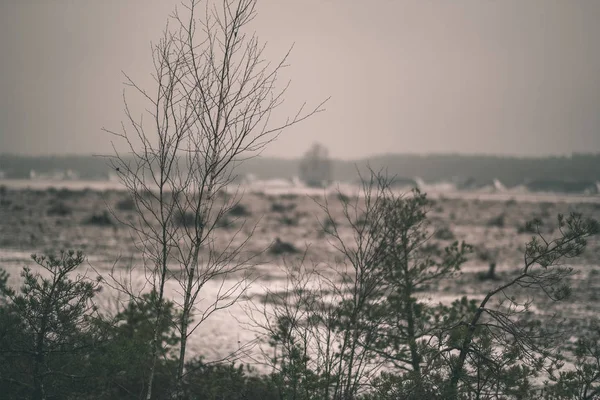 Vidéki Táj Borított Területeken Sötét Felhős Télen — Stock Fotó