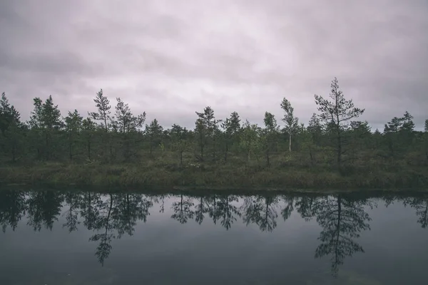沼泽景观与树木在水中的反射在阴天 — 图库照片