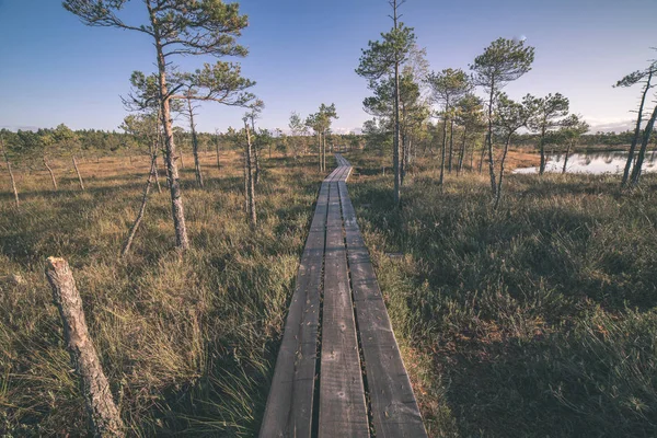 Lungomare Legno Zona Palude Autunno Prospettiva — Foto Stock