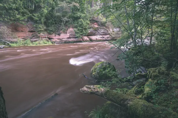 Rychlý Amata Řeka Zelené Letní Forest Lotyšsko — Stock fotografie