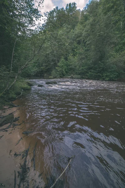 Snelle Amata Rivier Groen Bos Amata Letland — Stockfoto