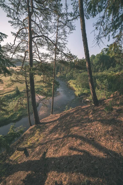 Vattenströmmen Floden Amata Lettland Med Skog Stränder — Stockfoto