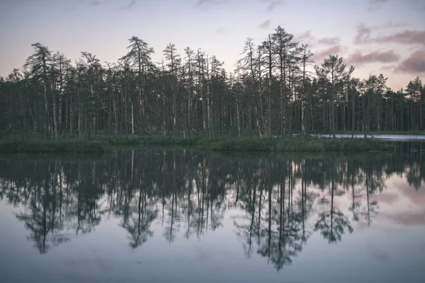 Відображення Дерев Спокійній Озерній Воді Заході Сонця — стокове фото