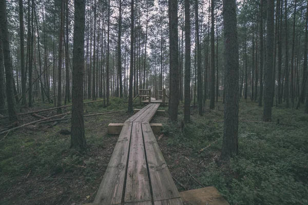 視点で秋に沼エリアに木の板の遊歩道 — ストック写真