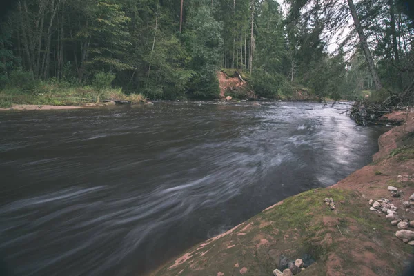 快速阿马塔河在绿色的夏季森林 拉脱维亚 — 图库照片