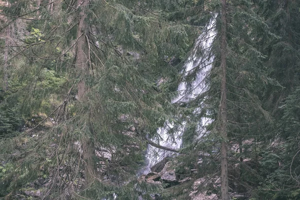 Malý Vodopád Skalnatém Svahu Lese — Stock fotografie