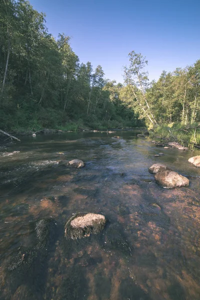 Water Kalme Rivier Ingesloten Forests Waarvan Het Forest Zomerdag — Stockfoto