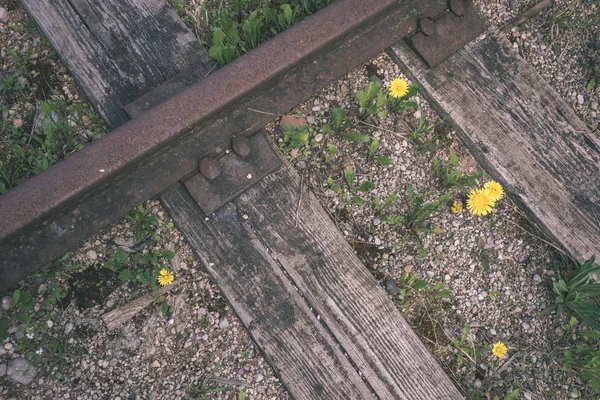在铁轨上绽放的野野随机花朵 — 图库照片