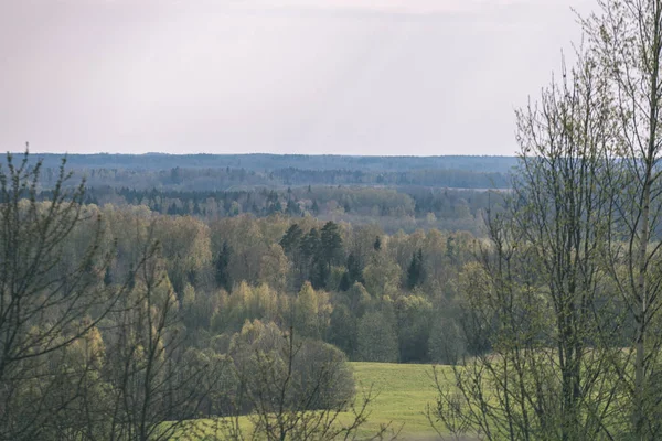 Ebene Landschaft Frühlingslandschaft Mit Frischen Grünen Wiesen Und Wäldern — Stockfoto