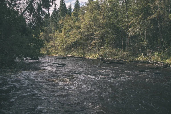 Швидко Amata Річка Зелені Влітку Ліс Латвія — стокове фото