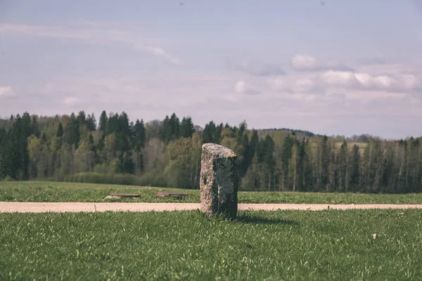 Rotsachtige Monument Groen Gras Platteland — Stockfoto
