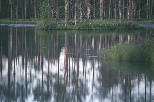Refleksje Drzew Spokojnych Wodach Jeziora Wody Zachodzie Słońca — Zdjęcie stockowe