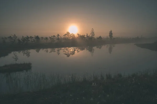 Lever Soleil Avec Brume Dans Zone Marécageuse Avec Reflets Arbres — Photo