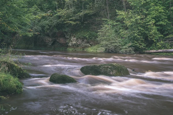 Rápido Río Amata Verde Bosque Verano Letonia —  Fotos de Stock