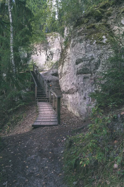 Tourist Hiking Trail Track Green Summer Forest Rocky Cliff — Stock Photo, Image