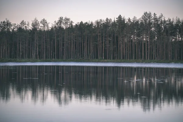 Reflexionen Von Bäumen Ruhigen Seewasser Bei Sonnenuntergang — Stockfoto