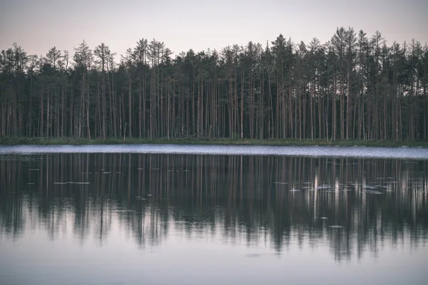 Reflets Arbres Dans Eau Calme Lac Coucher Soleil — Photo