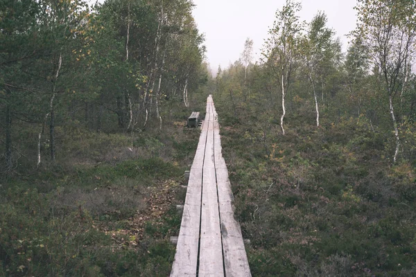 Fából Készült Deszka Boardwalk Mocsári Területen Ősszel Terv — Stock Fotó