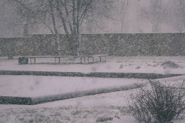 Mlhavé Zimní Park Velké Sněžení — Stock fotografie