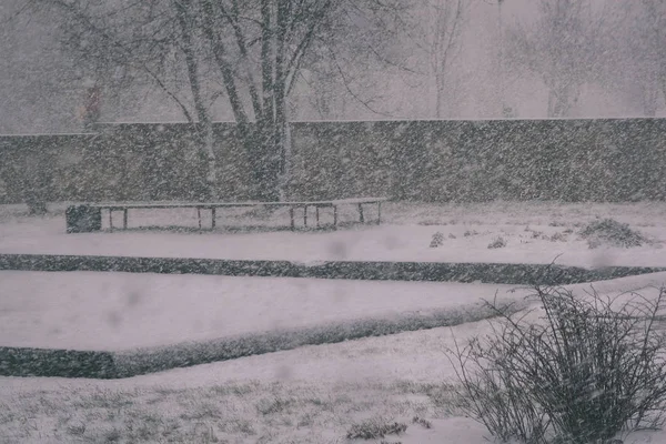 大きな雪の霧の冬公園 — ストック写真