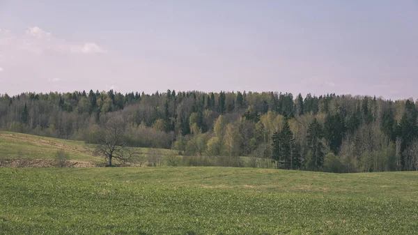 Landschaft Aus Feldern Und Wäldern Unter Blauem Himmel Sommer — Stockfoto