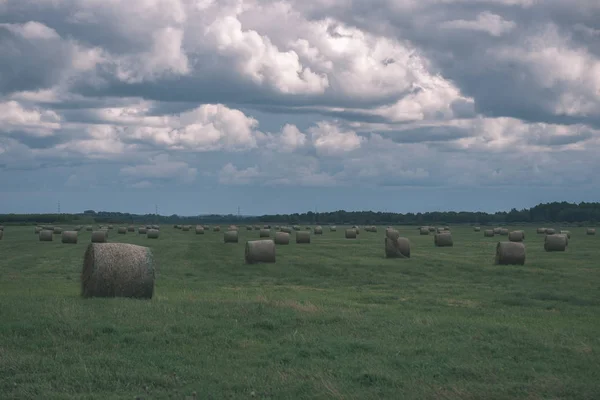 Rullar Gröna Fältet Molnig Himmel Landsbygden Lettland — Stockfoto