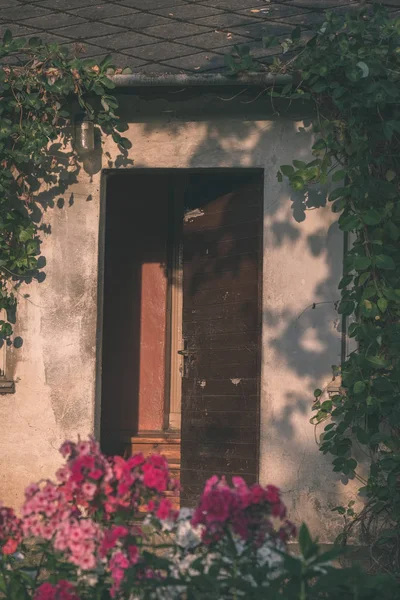 Gammalt Trä Landsbygden Hus Med Blommande Blommor Sommar — Stockfoto