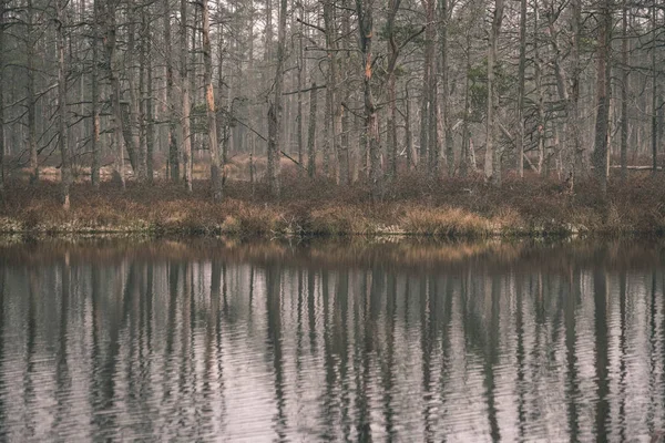 Reflets Arbres Dans Eau Calme Lac Dans Forêt — Photo