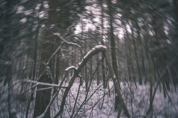 Nahých Větví Zimě Rozostřeného Pozadí — Stock fotografie