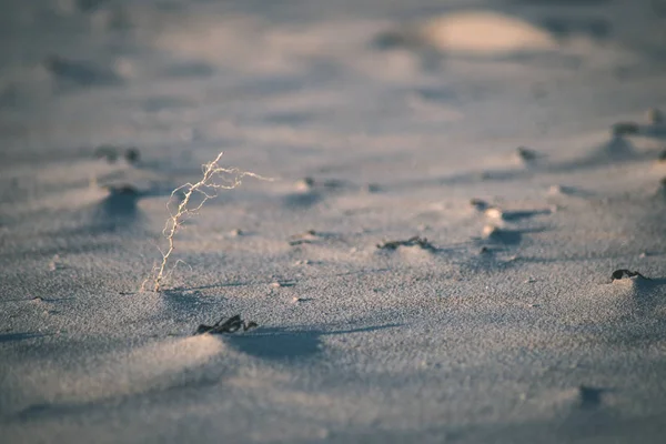 日光の下でビーチで明確な砂の質感 — ストック写真
