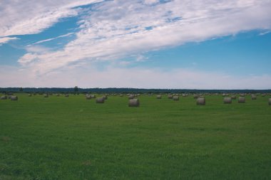Letonya kırsalında bulutlu gökyüzü altındaki yeşil alanında saman rulo